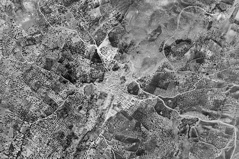 Ortofoto de 1956-1957 del núcleo de Periana