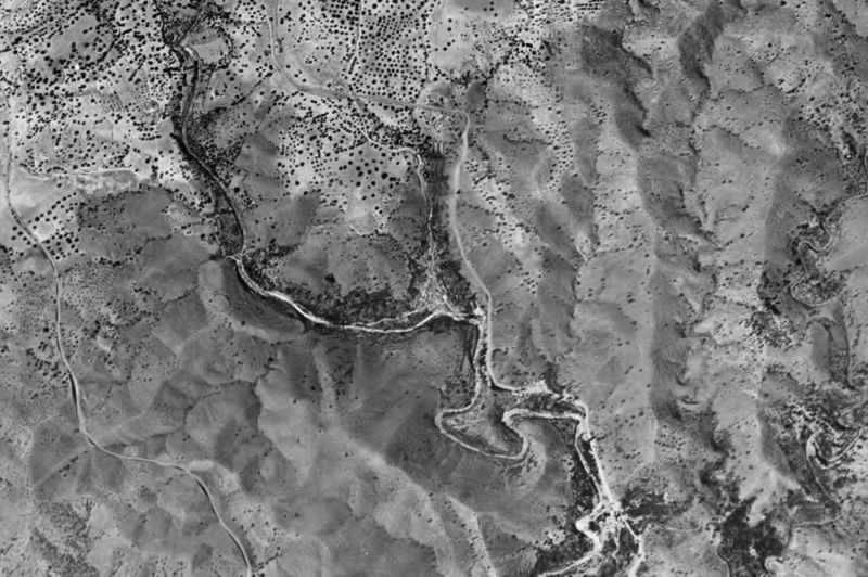 Ortofoto de 1956-1957 del núcleo de Viñuela