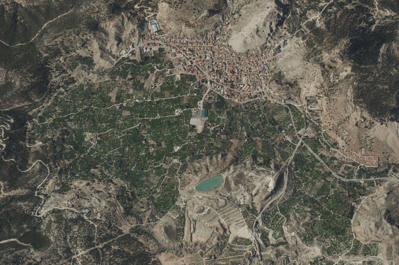 Ortofoto actual del núcleo de Ricote