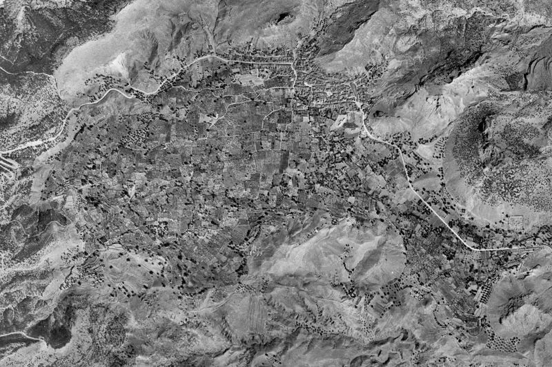 Ortofoto de 1956-1957 del núcleo de Ricote