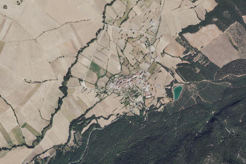Ortofoto actual del núcleo de Genevilla