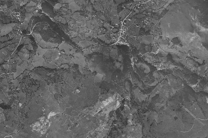 Ortofoto de 1956-1957 del núcleo de Caravia