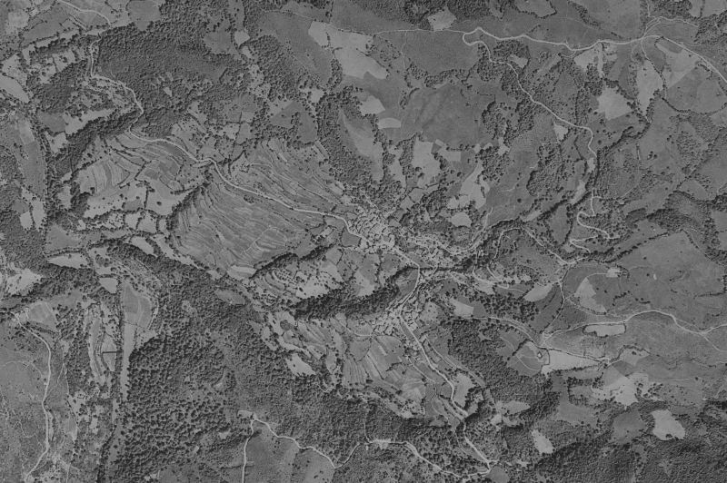 Ortofoto de 1956-1957 del núcleo de Ponga