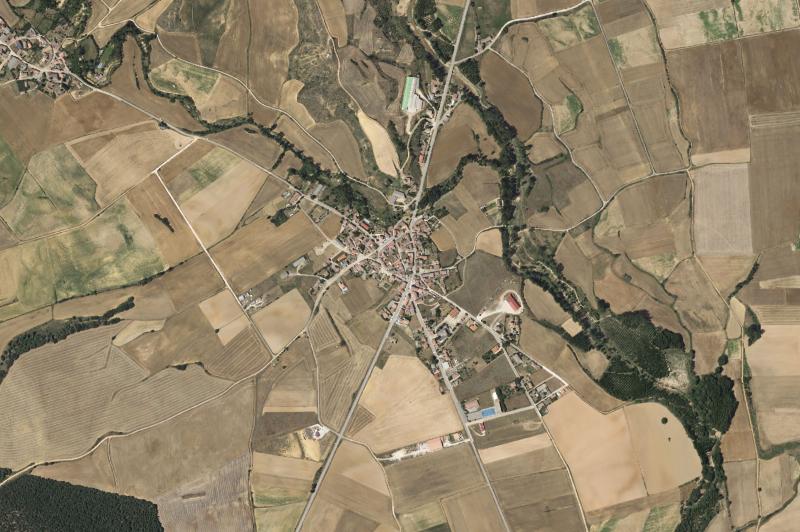 Ortofoto actual del núcleo de Buenavista de Valdavia
