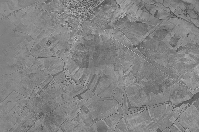Ortofoto de 1956-1957 del núcleo de Cervatos de la Cueza