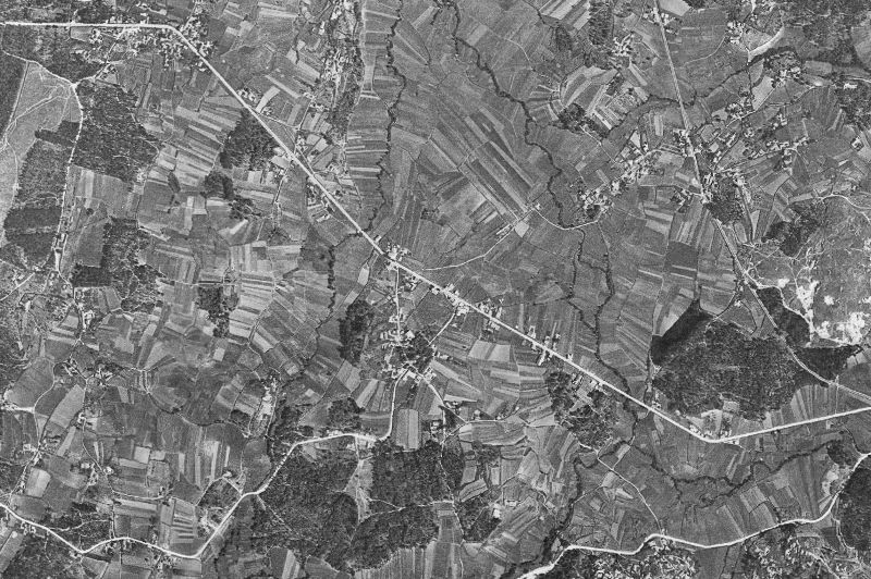 Ortofoto de 1956-1957 del núcleo de Meis