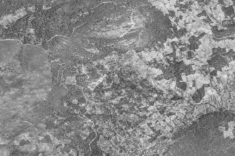Ortofoto de 1956-1957 del núcleo de Madroñal