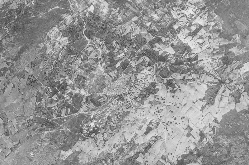 Ortofoto de 1956-1957 del núcleo de Pinedas