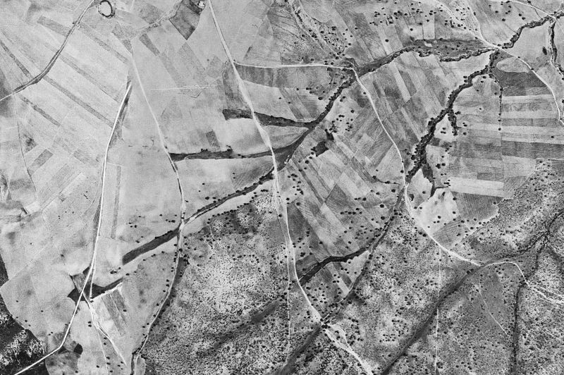 Ortofoto de 1956-1957 del núcleo de Muñopedro