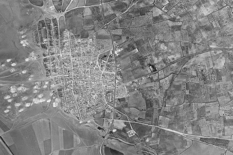 Ortofoto de 1956-1957 del núcleo de Los Palacios y Villafranca