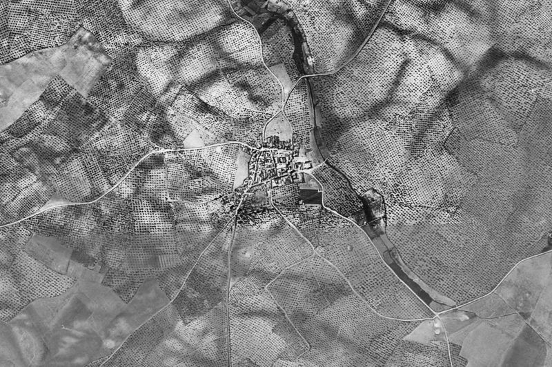 Ortofoto de 1956-1957 del núcleo de Palomares del Río