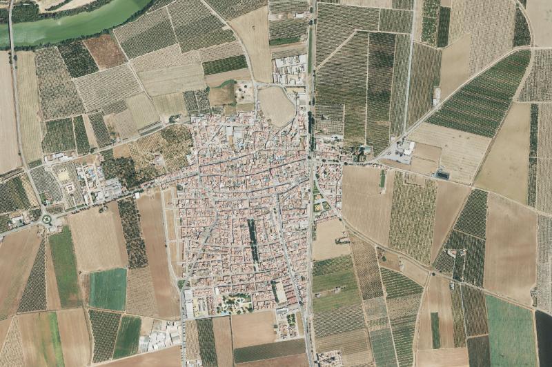 Ortofoto actual del núcleo de Tocina
