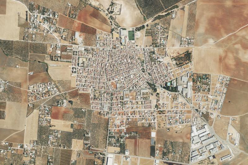 Ortofoto actual del núcleo de Cañada Rosal