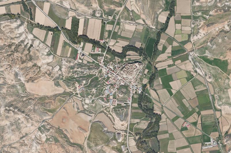 Ortofoto actual del núcleo de Monteagudo de las Vicarías