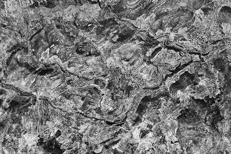 Ortofoto de 1956-1957 del núcleo de Alfara de Carles