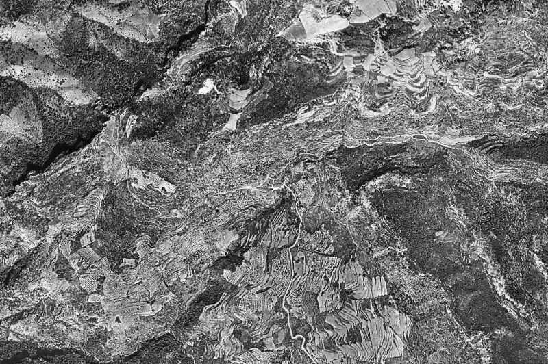 Ortofoto de 1956-1957 del núcleo de Arbolí