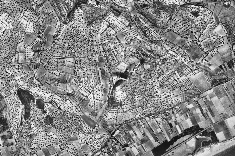 Ortofoto de 1956-1957 del núcleo de Creixell
