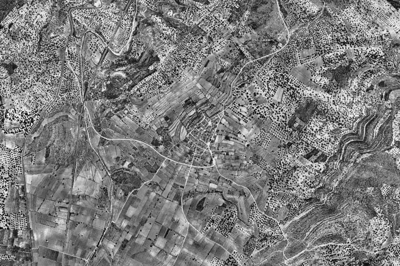 Ortofoto de 1956-1957 del núcleo de Freginals