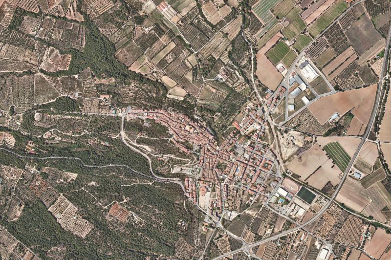 Ortofoto actual del núcleo de Mont-roig del Camp