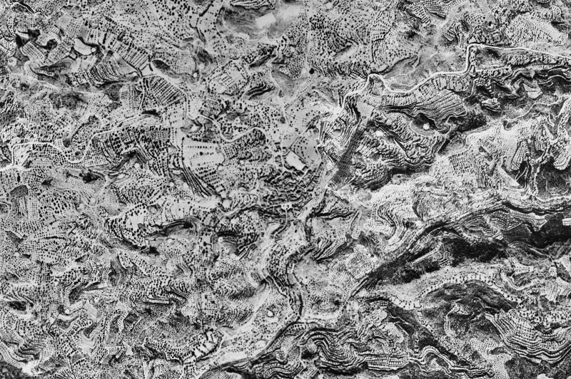 Ortofoto de 1956-1957 del núcleo de La Palma d'Ebre