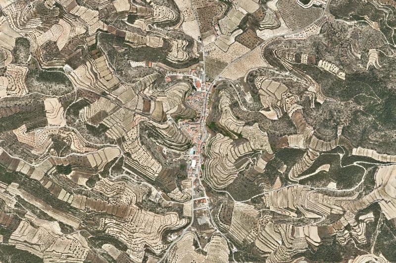 Ortofoto actual del núcleo de La Pobla de Massaluca