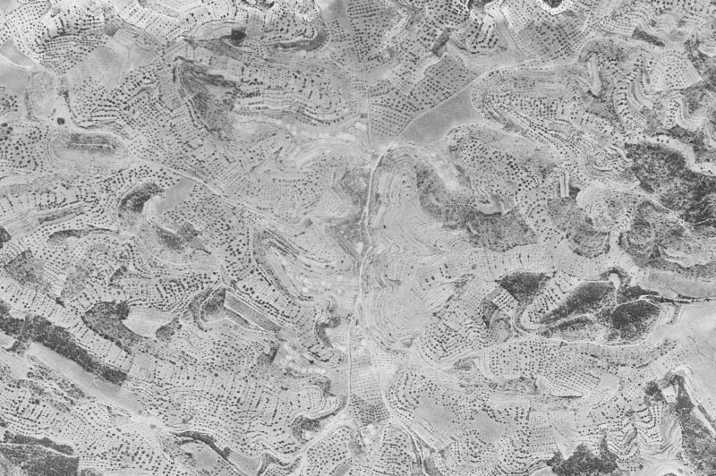 Ortofoto de 1956-1957 del núcleo de La Pobla de Massaluca