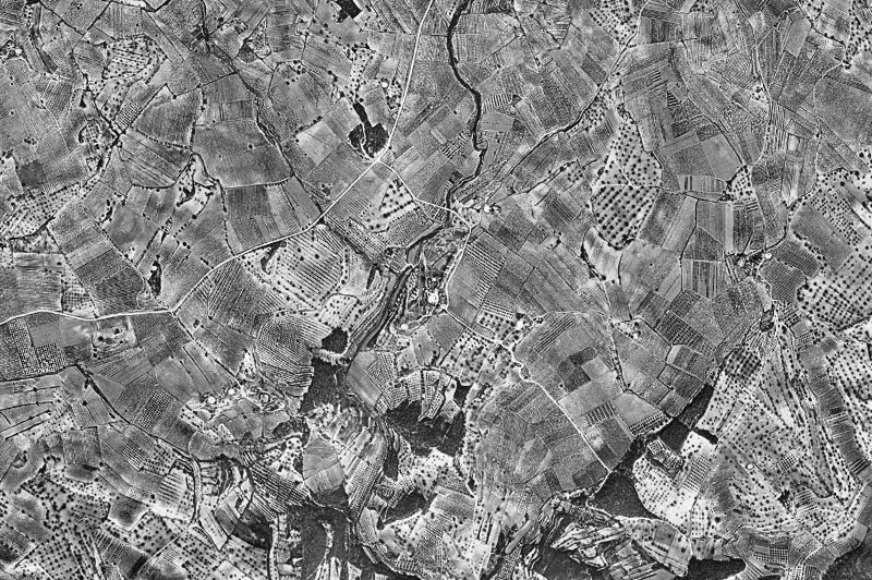 Ortofoto de 1956-1957 del núcleo de Renau