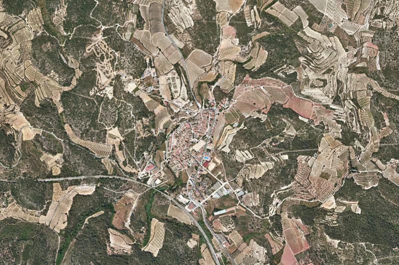 Ortofoto actual del núcleo de Salomó
