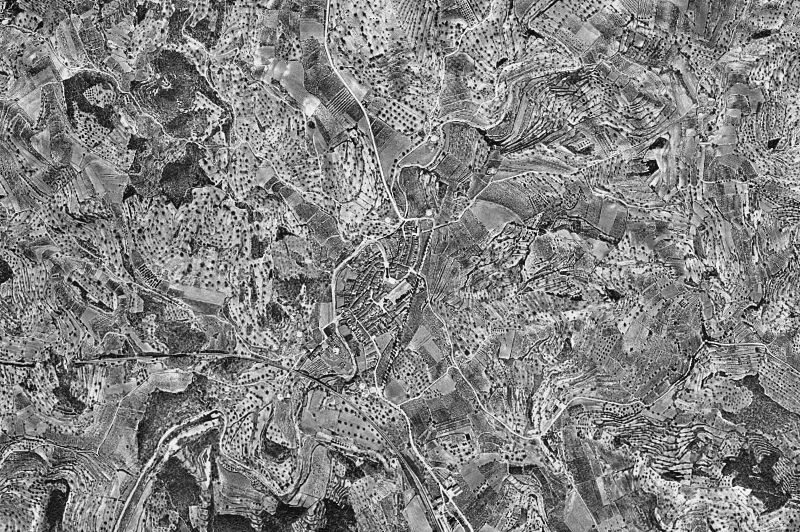 Ortofoto de 1956-1957 del núcleo de Salomó