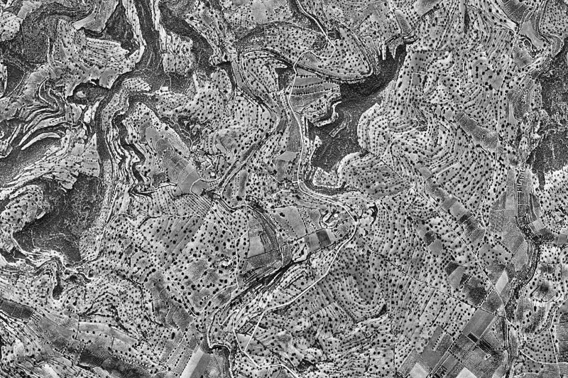 Ortofoto de 1956-1957 del núcleo de Vespella de Gaià