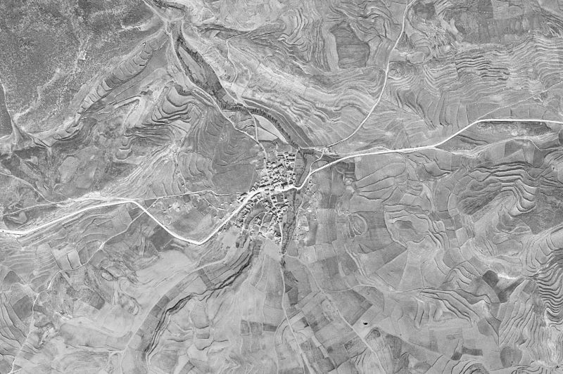 Ortofoto de 1956-1957 del núcleo de Cosa
