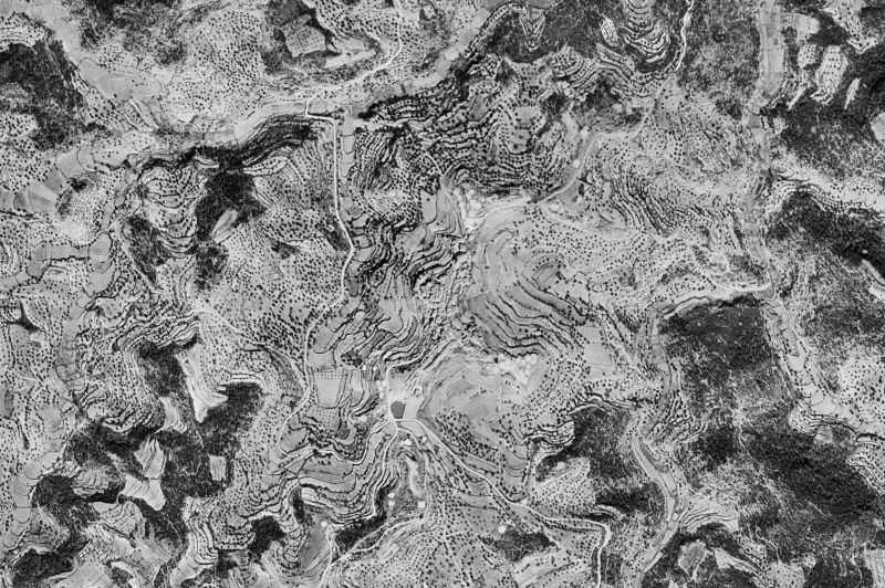 Ortofoto de 1956-1957 del núcleo de Fórnoles