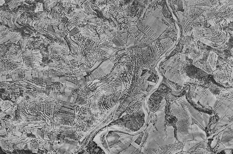 Ortofoto de 1956-1957 del núcleo de Lledó
