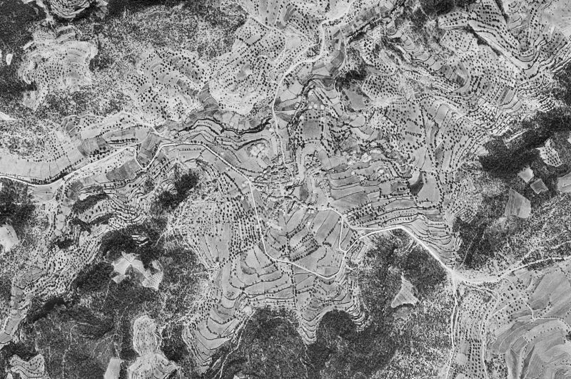 Ortofoto de 1956-1957 del núcleo de La Portellada