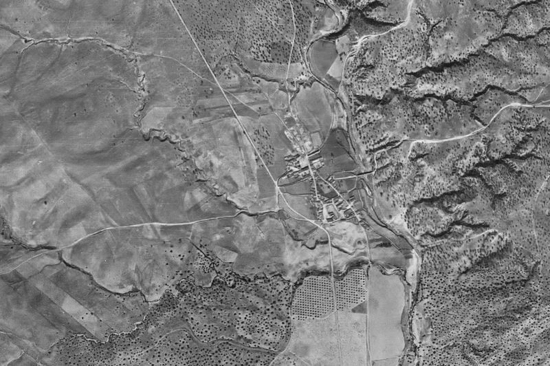 Ortofoto de 1956-1957 del núcleo de Cardiel de los Montes