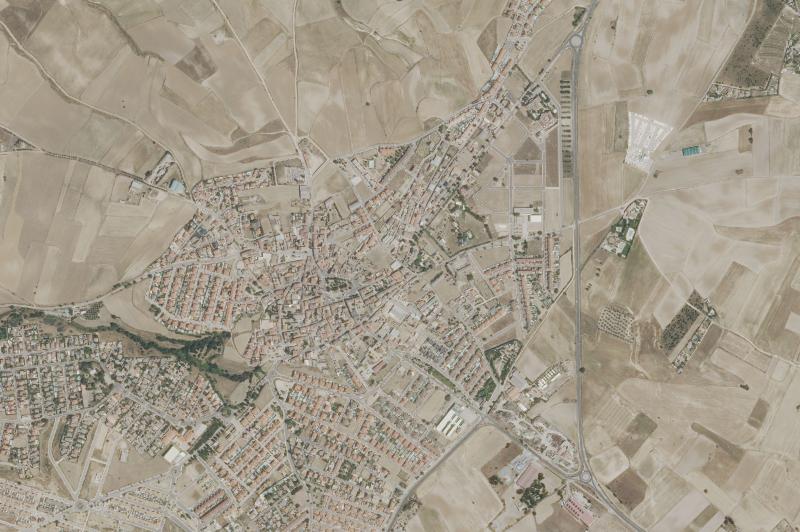 Ortofoto actual del núcleo de Carranque