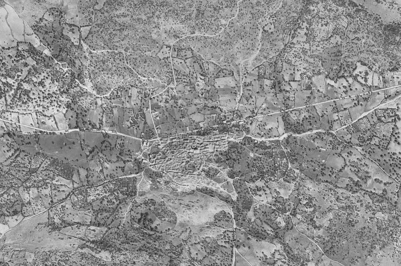 Ortofoto de 1956-1957 del núcleo de Pelahustán