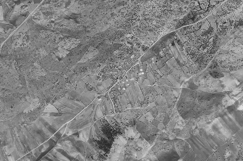 Ortofoto de 1956-1957 del núcleo de Pepino