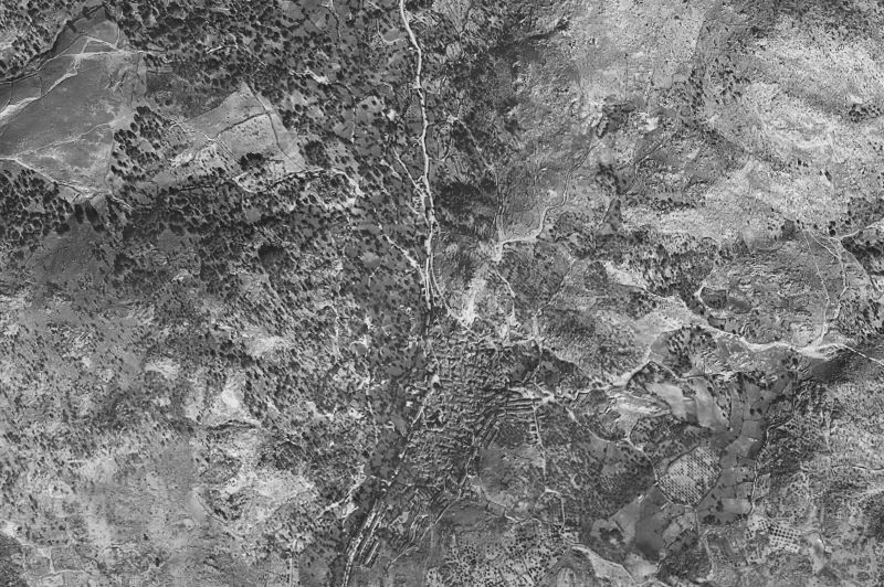 Ortofoto de 1956-1957 del núcleo de El Real de San Vicente