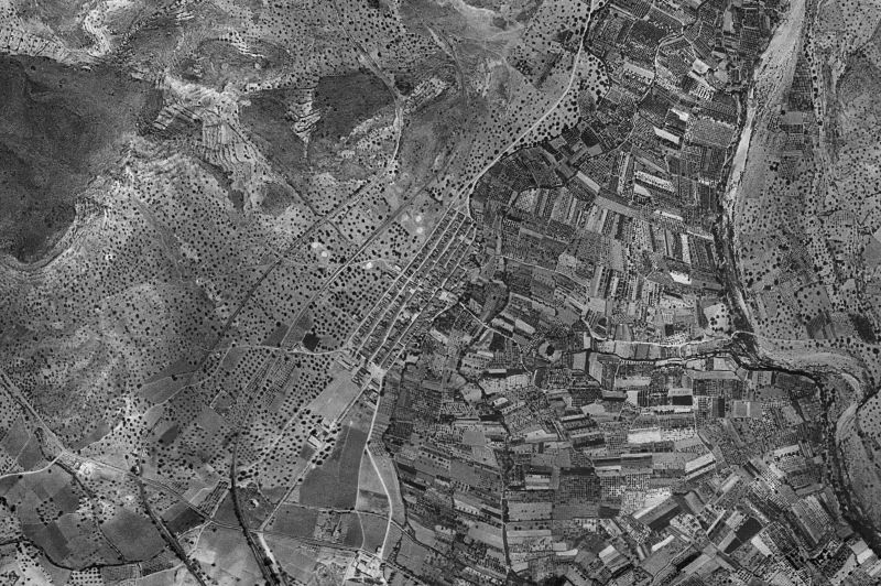 Ortofoto de 1956-1957 del núcleo de Algímia d'Alfara