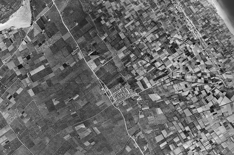 Ortofoto de 1956-1957 del núcleo de Daimús