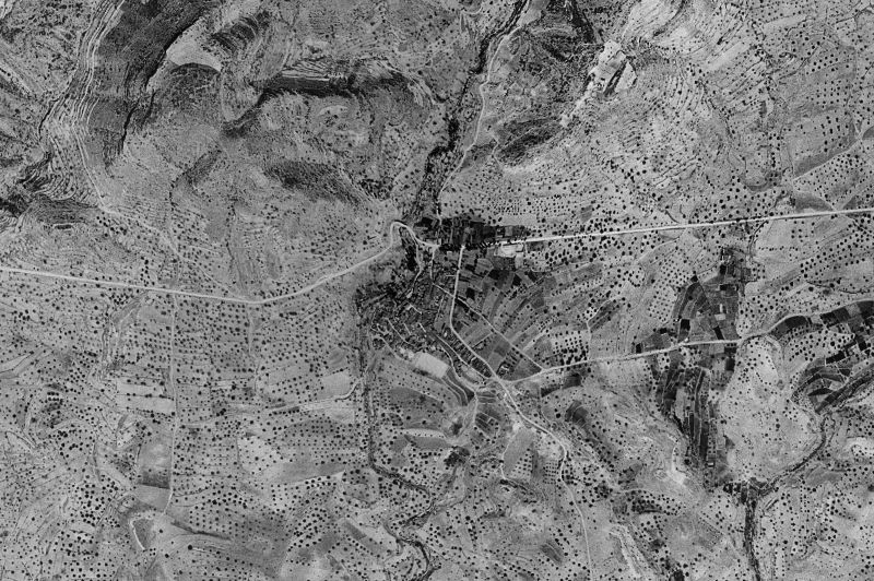 Ortofoto de 1956-1957 del núcleo de Losa del Obispo