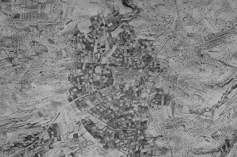 Ortofoto de 1956-1957 del núcleo de El Palomar