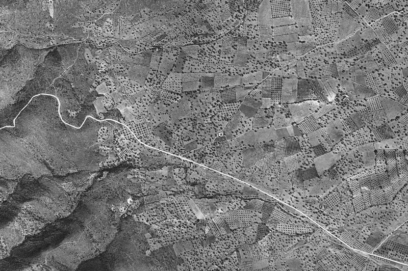 Ortofoto de 1956-1957 del núcleo de Tous