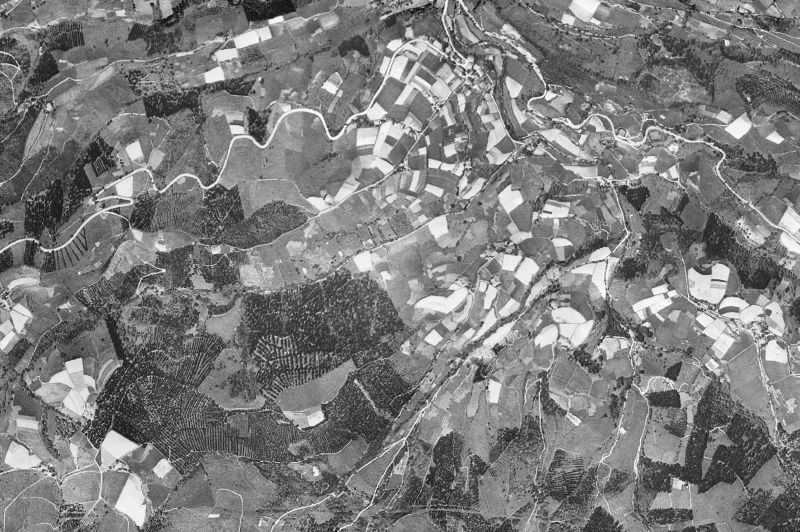 Ortofoto de 1956-1957 del núcleo de Munitibar-Arbatzegi Gerrikaitz