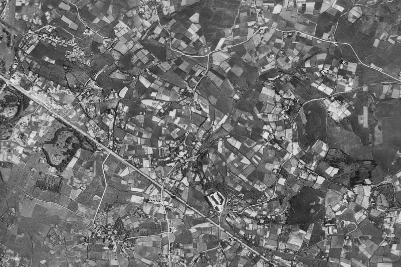 Ortofoto de 1956-1957 del núcleo de Leioa