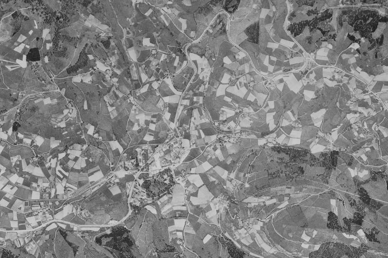 Ortofoto de 1956-1957 del núcleo de Zaldibar