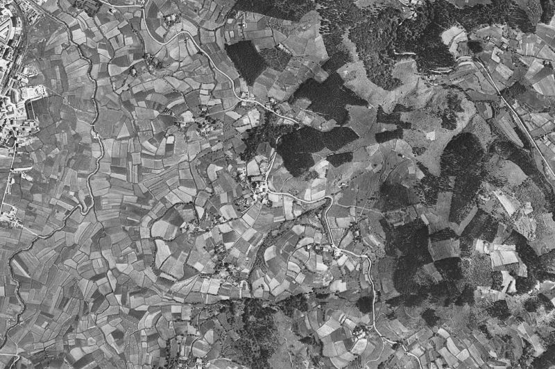 Ortofoto de 1956-1957 del núcleo de Ajangiz