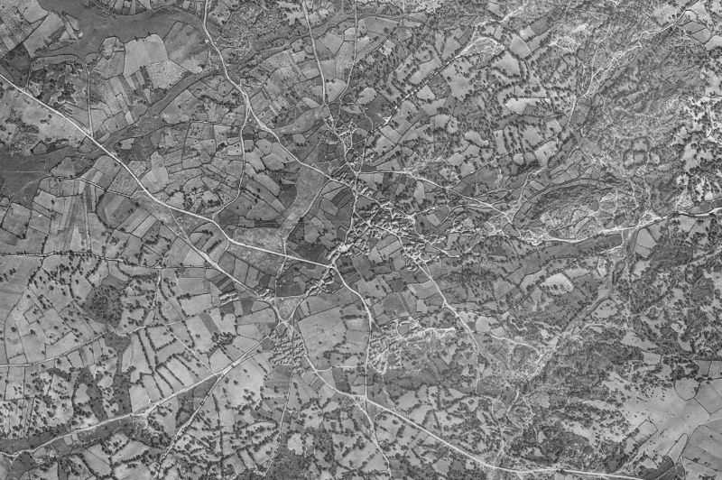 Ortofoto de 1956-1957 del núcleo de Moral de Sayago