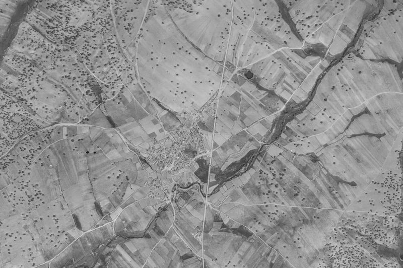 Ortofoto de 1956-1957 del núcleo de Moraleja de Sayago